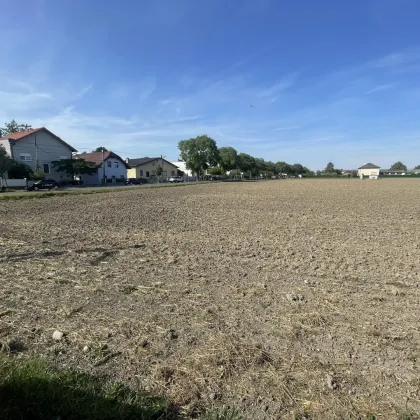 Ackergrundstück in Essling €130,-/m², keine Schutzzonen - Bild 3