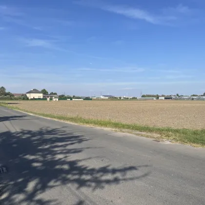 Ackergrundstück in Essling €130,-/m², keine Schutzzonen - Bild 2