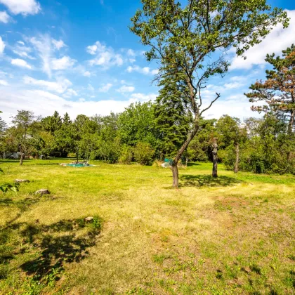 Einfamilienhaus auf teilbarem Grund - 2.380 m² - Bild 2