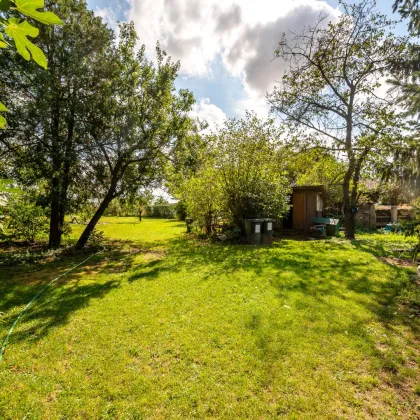 Einfamilienhaus auf teilbarem Grund - 2.380 m² - Bild 3