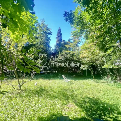 Gartenanteil mitten in Graz-Geidorf fast neben der KF Uni zu vermieten - Bild 2