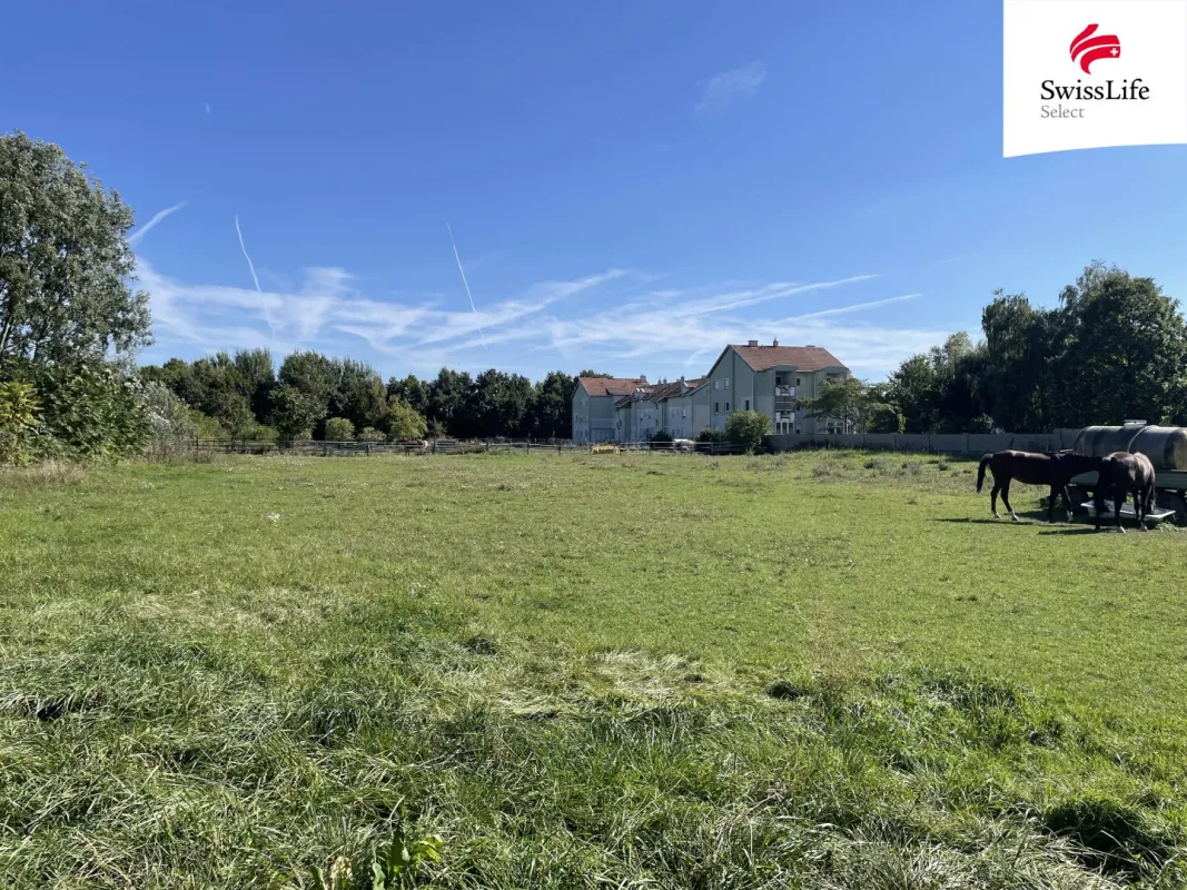 Gols | Baugrundstück in Top-Lage | 5.000 m² - Bild 1