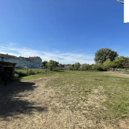 Gols | Baugrundstück in Top-Lage | 5.000 m² - Bild 2