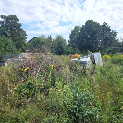 Neuer Preis! Fahnengrundstück in Gänserndorf Süd - Bild 2