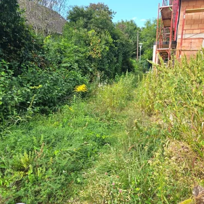 Neuer Preis! Fahnengrundstück in Gänserndorf Süd - Bild 3