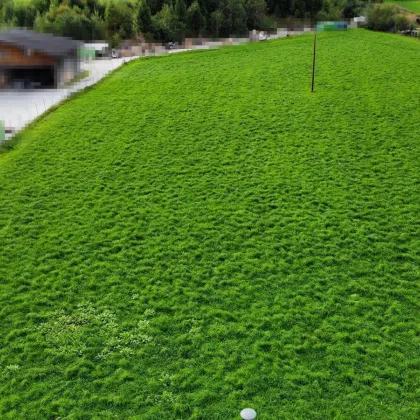 Grundstück in Aigen im Ennstal - Bild 3