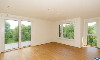 Die Mur vor der Tür. Das Leben in der Hand.