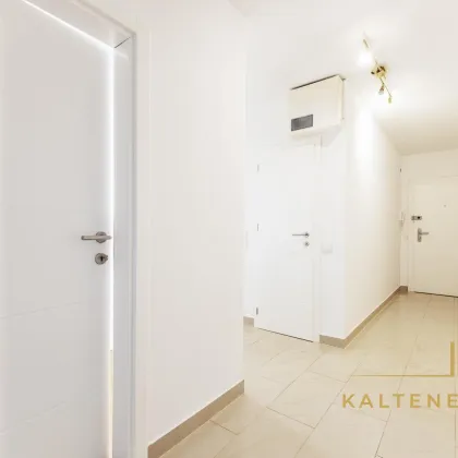 Traumhafte 3 Zimmer-Wohnung mit Loggia - WG-tauglich - Bild 2