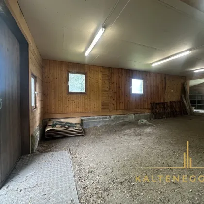 Einzigartiges Baugrundstück mit Holzhütte - Bild 3