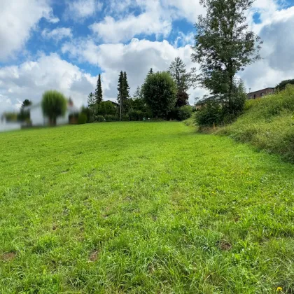 Sonniges Baugrundstück in bekannter Feriengemeinde St. Kanzian am Klopeiner See - Bild 2