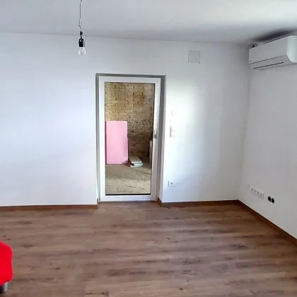 Altburgenländischer Streckhof und Lagerräume - Bild 3