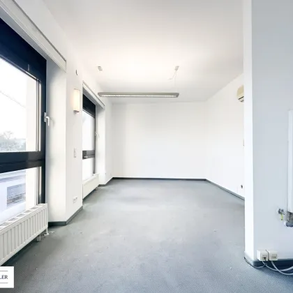 Gemütliches Arbeiten über den Dächern Wiens - in unmittelbarer Nähe der alten Donau - Bild 2