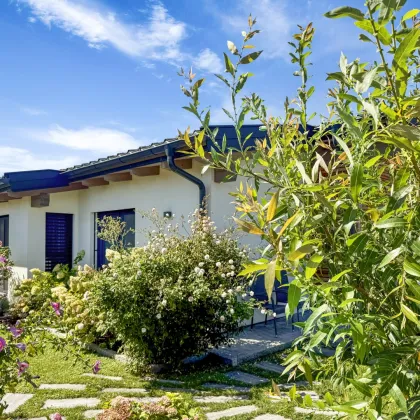 Gesund Wohnen: Moderner Massivholz-Bungalow mit 135 m² Wohnfläche, Gartenparadies & High-End-Technik - Bild 3