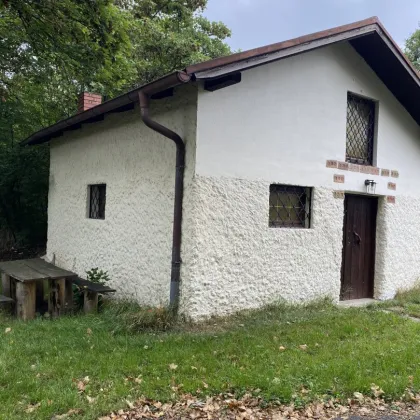 Idyllisches Kleinhaus mit Gewölbekeller in Neudorf im Weinviertel - Bild 2