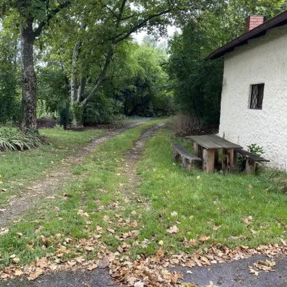 Idyllisches Kleinhaus mit Gewölbekeller in Neudorf im Weinviertel - Bild 3