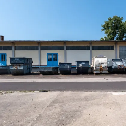 LINZ SÜD: Attraktive und teilbare Gewerbehalle mit idealer Anbindung - Bild 3