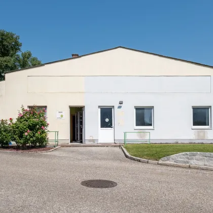 LINZ SÜD: Attraktive und teilbare Gewerbehalle mit idealer Anbindung - Bild 2