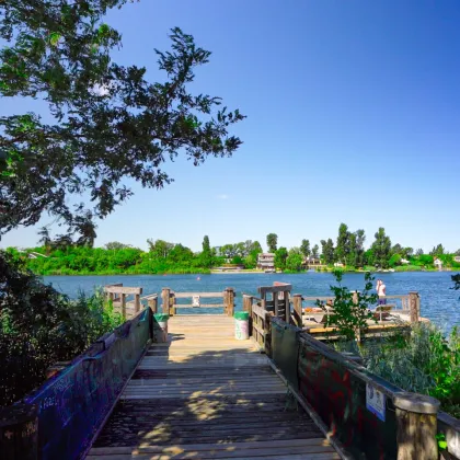 Alte Donau - Citynah & wasserverliebt - Eigengrund - Bild 2