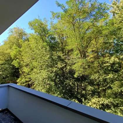 SONNE-RUHE-NATUR stilvolle 2 ZI und 4 ZI  Erstbezugswohnungen LKH Nähe -Top Lage, große Balkone- wunderschöner Ausblick, Tiefgarage/Parkplatz - Bild 2