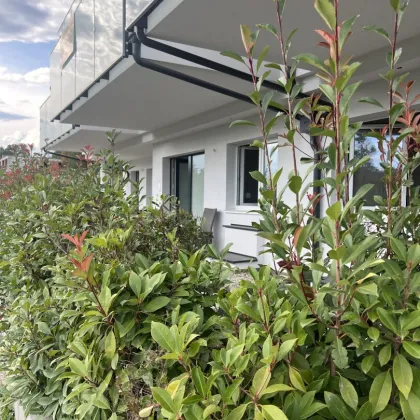 Der Wörthersee vor der Haustüre - Airbnb erlaubt ! - Bild 3