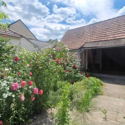 Einfamilienhaus, Haugsdorf, Miete oder  Kauf  ZUM SANIEREN - Bild 2