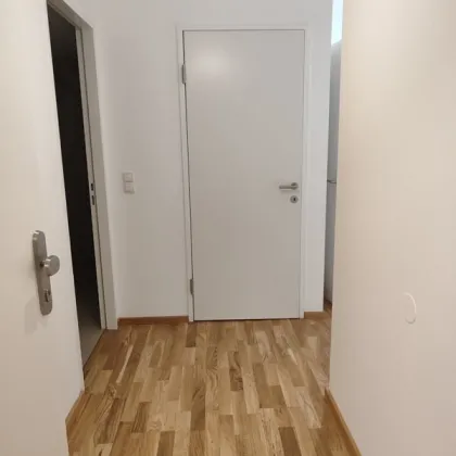 Atlier/Büro! Estbezug in neu errichtetem Wohnprojekt im EG - Top01 - Bild 3