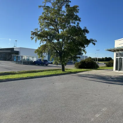 Geschäftsflächen Gewerbe 673m2  Bruck an der Leitha zu vermieten/zu verkaufen - Bild 2