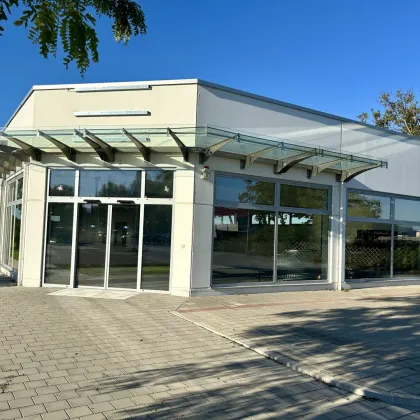 Geschäftsflächen Gewerbe 673m2  Bruck an der Leitha zu vermieten/zu verkaufen - Bild 3