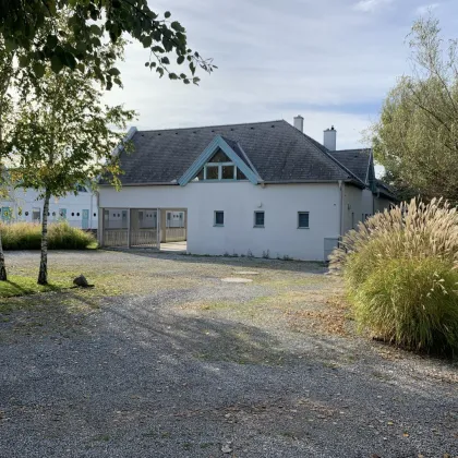 Segelhafen Seegärten – Exklusives Hafenareal mit Entwicklungspotenzial am Neusiedler See - Bild 3