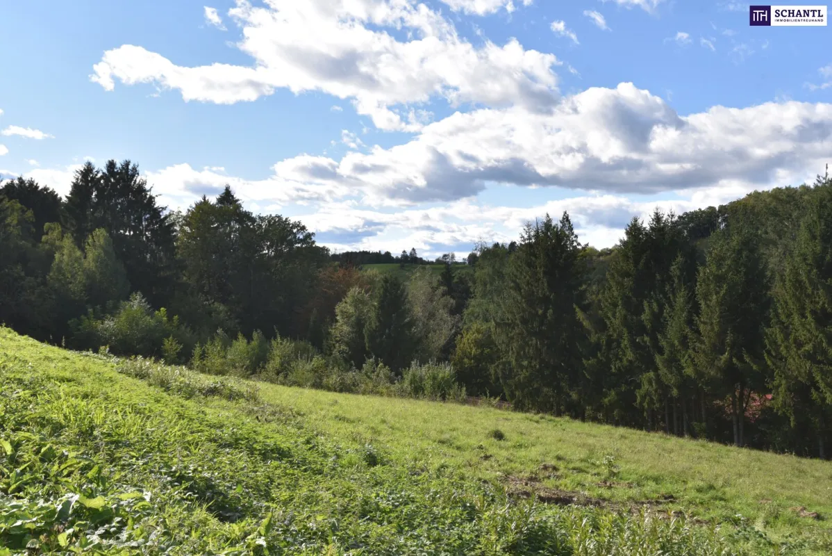 Rastbühel – Wohnen am Stadtrand mit Blick ins Grüne - Bild 1