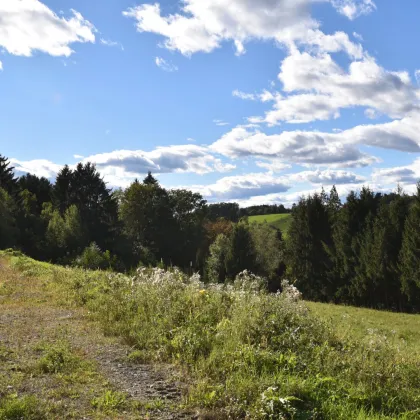 Rastbühel – Wohnen am Stadtrand mit Blick ins Grüne - Bild 3