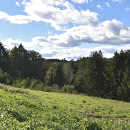 Rastbühel – Wohnen im Grünen, nur 10 Minuten nach Graz! Sichern Sie sich eines von vier attraktiven Baugrundstücken. Jetzt gleich anfragen und den Grundstein für Ihr Traumhaus legen! - Bild 2