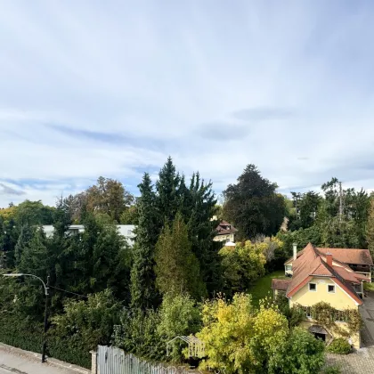 NÄHE HILMTEICH und UNI GRAZ : Vermietete 4-Zimmer-Wohnung mit Balkon & Lift in idealer Lage - Bild 3