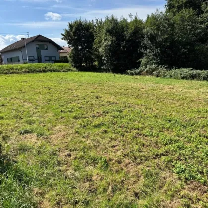 Schönes & sonniges Baugrundstück in Andorf: 1371 m² für Ihr Eigenheim! - Bild 3