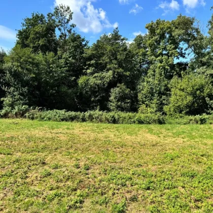 Schönes & sonniges Baugrundstück in Andorf: 1371 m² für Ihr Eigenheim! - Bild 2