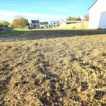 #SQ - MATTERSBURG: BAUGRUNDSTÜCK IN TOPLAGE - Bild 2
