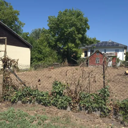 Ein Platz zum Wachsen – Ihr neues Zuhause in Essling - Bild 2