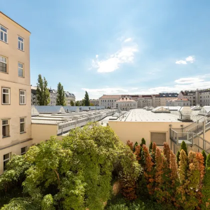 3-Zi.-Altbauwohnung mit zukünftiger Terrasse! SELTENHEIT! - Bild 3