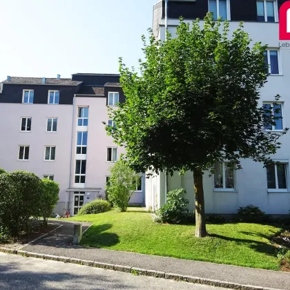 Mittertreffling: kompakte 4-Zimmer Mietwohnung - Bild 3