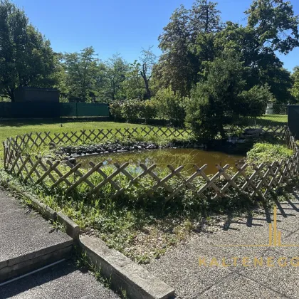 Leben am Schlosspark - Bild 3