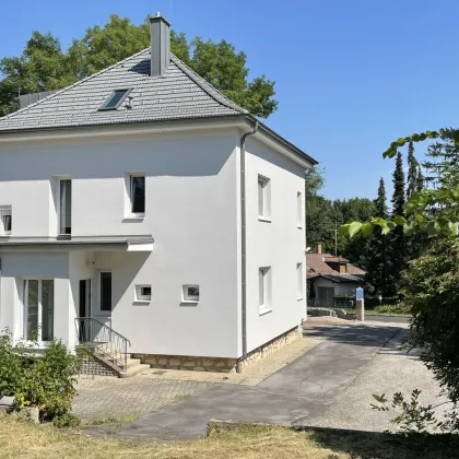 NEU SANIERTES EINFAMILIENHAUS ++ 5 ZIMMER ++ ROHDACHBODEN ++ NEBENGEBÄUDE ++ 1.000 m² GRUND - Bild 2
