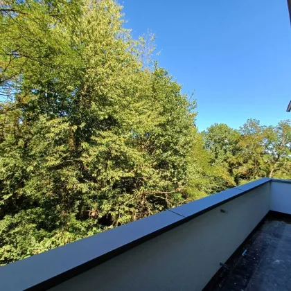 Anlage/Vorsorge,beste Vermietbarkeit-stilvolle 2 ZI und 4 ZI  Erstbezugswohnungen LKH Nähe -Top Lage, große Balkone- wunderschöner Ausblick, Tiefgarage/Parkplatz - Bild 3