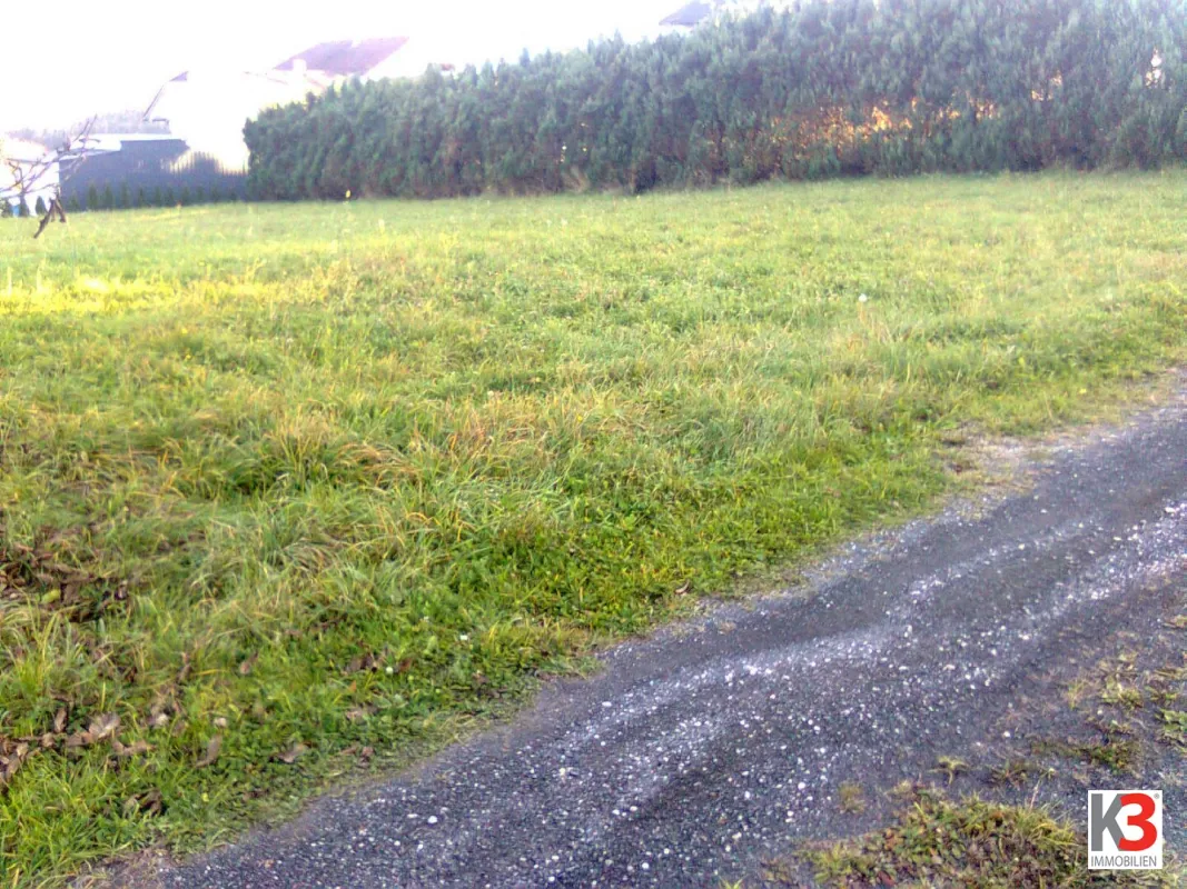 K3 - Sonniges Baugrundstück, voll erschlossen, Rosegg. - Bild 1