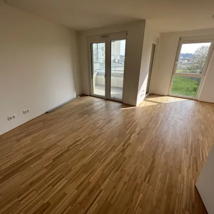 AKTION 1 MONAT MIETZINSFREI! - URBAN GARDENING IM NEUEN VIERTEL REININGHAUS - Bild 3