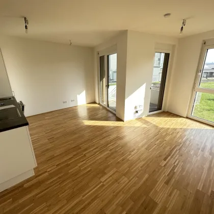 AKTION 1 MONAT MIETZINSFREI! - URBAN GARDENING IM NEUEN VIERTEL REININGHAUS - Bild 2