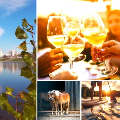 Energie tanken, Energie sparen - Ihr Neubautraum mit Garten und Terrasse im Grünen! Early Bird nutzen! 3 Zimmer + Hochwertige Ausstattung + Ideale Infrastruktur + Garage + Ein neues Lebebsgefühl! - Bild 2