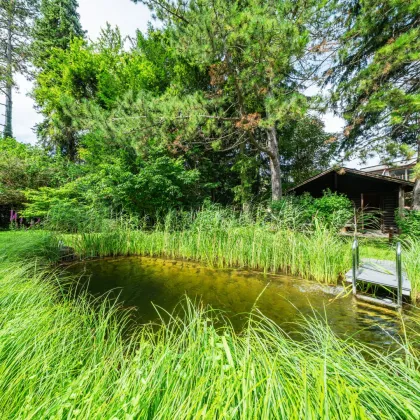 Elegante Villa am Waldrand mit sonnigem Traumgarten in der Hinterbrühl - Bild 3
