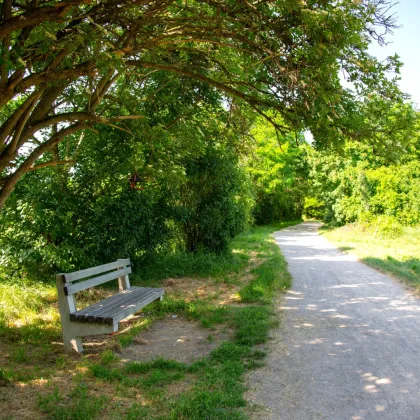 Garten trifft Grundriss Genie - Ihr Neubau zum Verlieben! Early Bird nutzen! Riesiger Garten + 3 Zimmer + Hochwertige Ausstattung + Ideale Infrastruktur + Garage + Ein neues Lebebsgefühl! - Bild 3