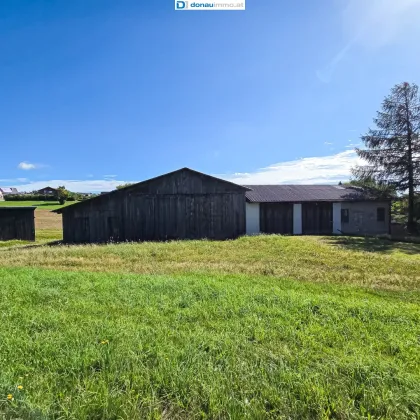 Bauernhof mit über 9 Hektar arrondiertes Land - Bild 2