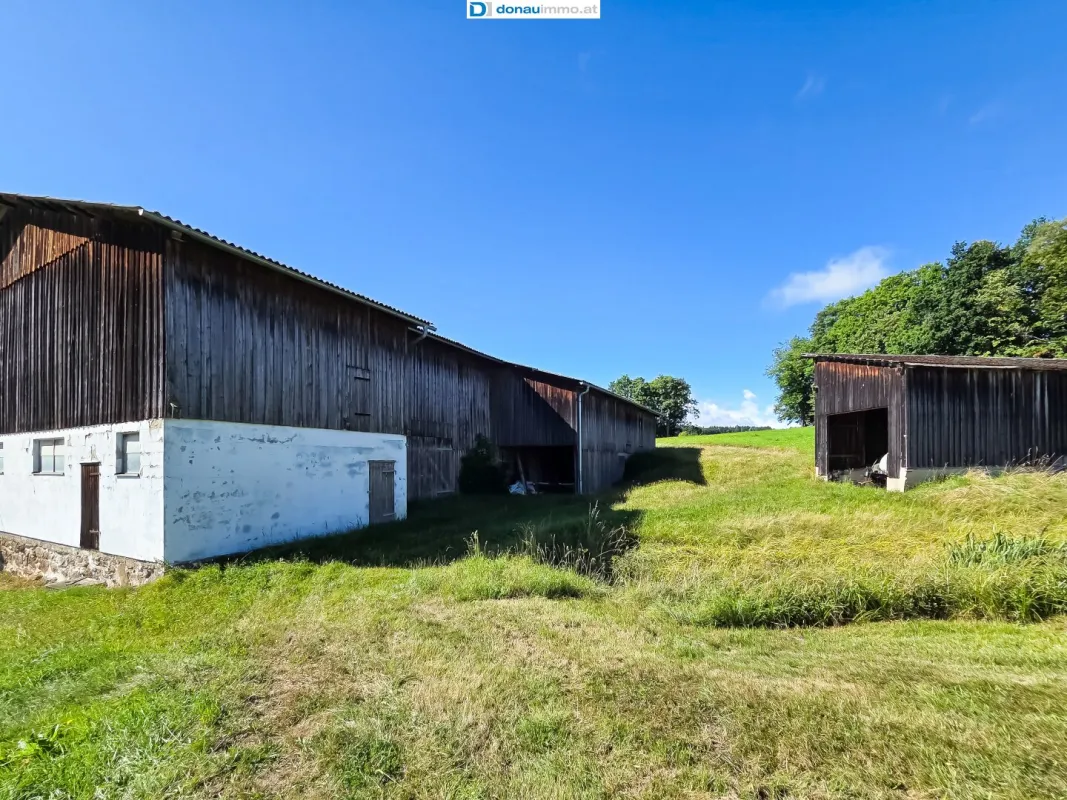 Bauernhof mit über 9 Hektar arrondiertes Land - Bild 1